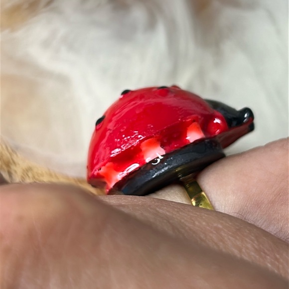 🖤Handmade Ladybug 🐞 ring - Picture 6 of 11